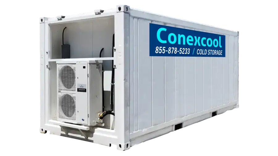 Single-Phase 20ft Refurbished Refrigerated Container Low Temp image 0