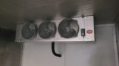 Single-Phase 40ft New Refrigerated Container Medium Temp image 2