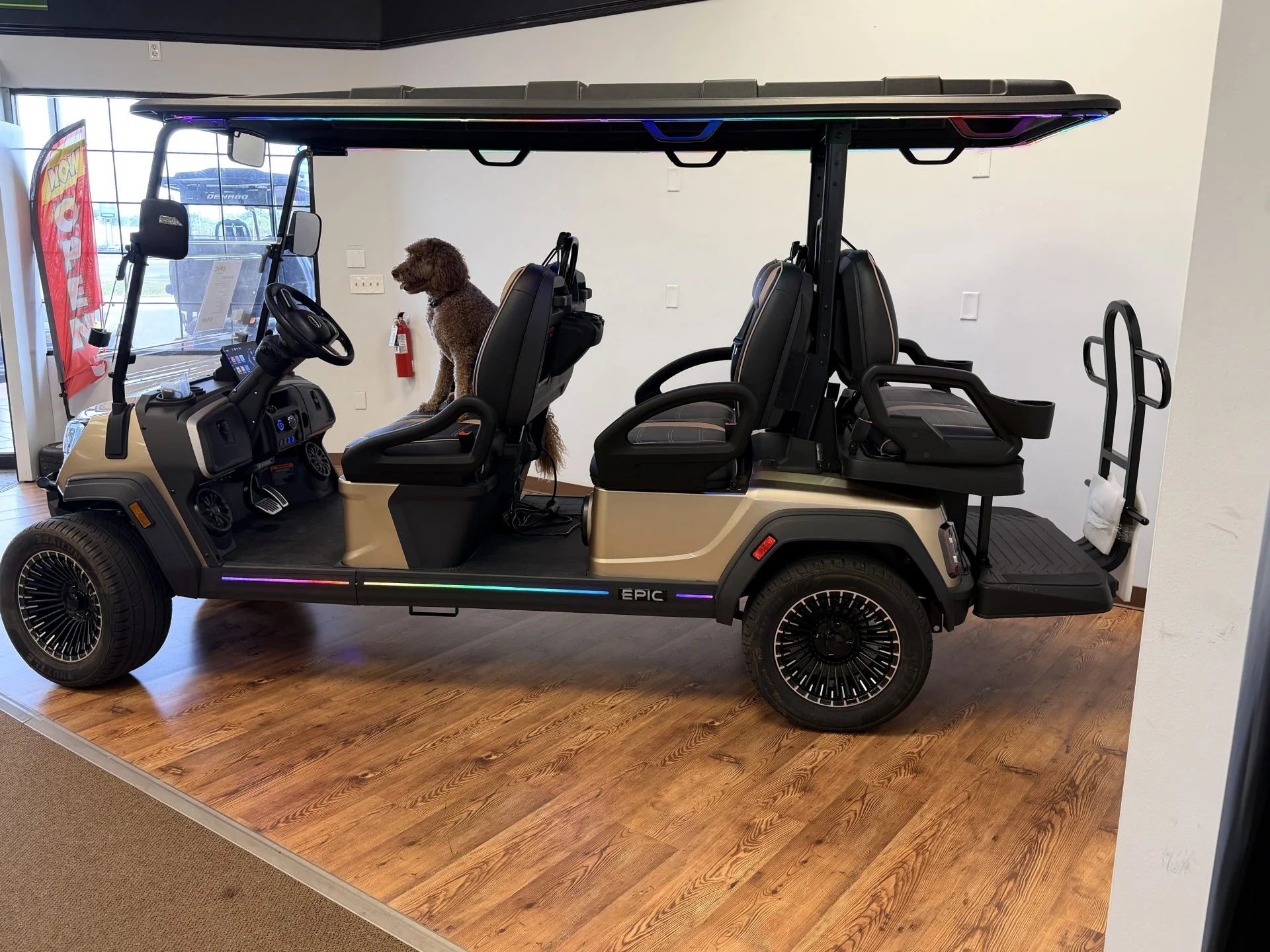 2026 Epic E60FX Champagne Golf Cart for Sale image 3