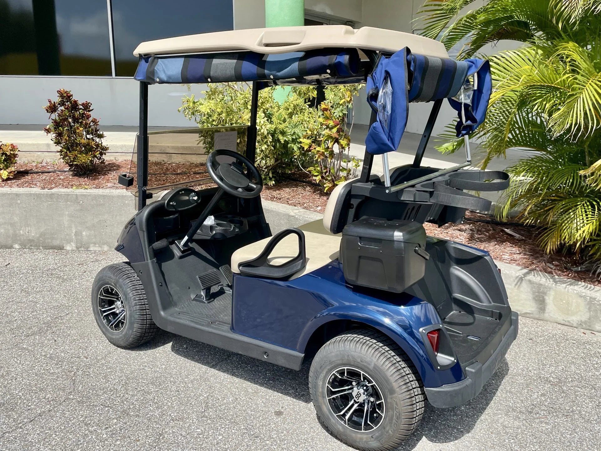 2019 E-Z-GO RXV Elite Lithium Golfer Special Golf Cart for Sale image 1