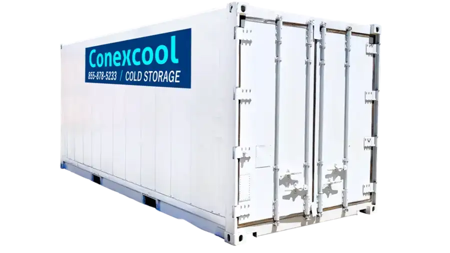 Single-Phase 20ft Refurbished Refrigerated Container Low Temp image 4