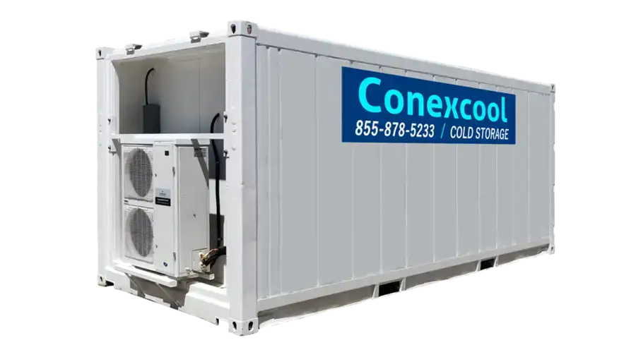Single-Phase 20ft New Refrigerated Container Low Temp image 0