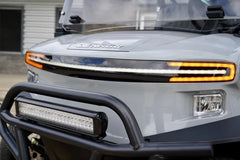 2024 Denago EV Nomad Golf Cart for Sale image 1
