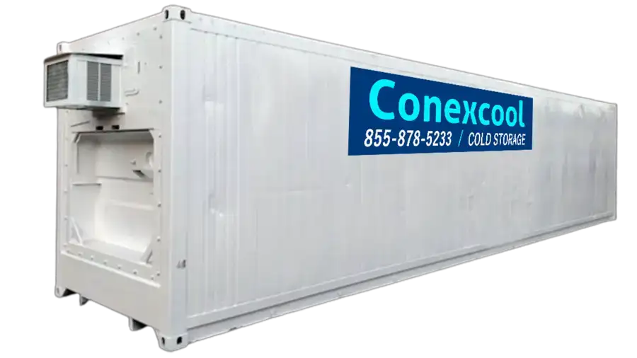 40ft Insulated Shipping Container image 0