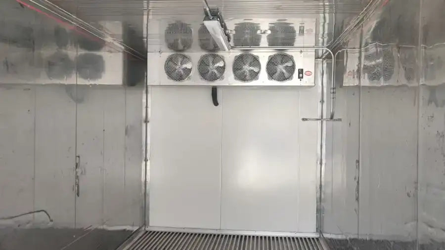 Single-Phase 20ft New Refrigerated Container Low Temp image 3