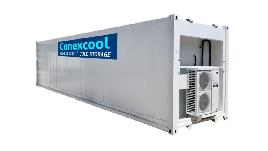 Single-Phase 40ft Refurbished Refrigerated Container Low Temp image 0